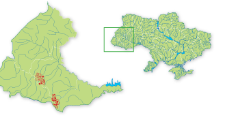 Карта распространения Сосна кедровая в Украине