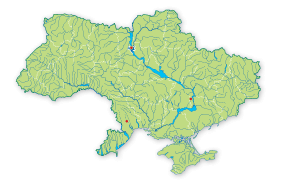 Карта поширення Евритірея золотиста в Україні