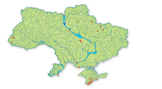 Карта распространения Анакамптис (ятрышник) рыхлоцветковый в Украине