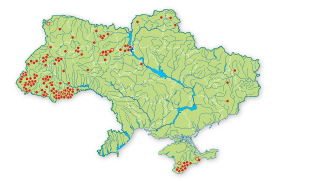 Карта распространения Пыльцеголовник длиннолистный в Украине