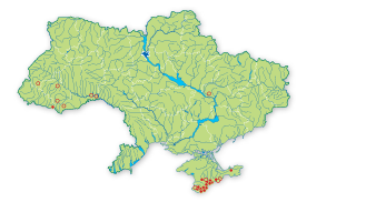 Карта распространения Ятрышник мужской в Украине