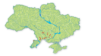 Карта поширення Оставник одеський (гімноспермій одеський) в Україні