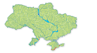 Карта распространения Редька приморская в Украине