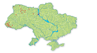 Карта распространения Сукцизелла изогнутая (сивчик изогнутый) в Украине