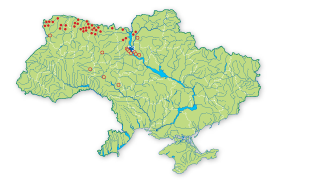 Карта распространения Росянка промежуточная в Украине