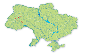 Карта распространения Змееголовник австрийский в Украине