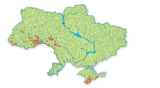Карта распространения Берека лечебная в Украине