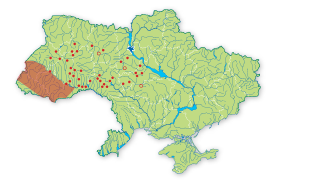 Карта поширення Скополія карніолійська в Україні