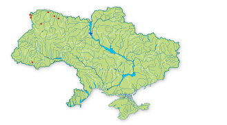 Карта поширення Хара витончена в Україні