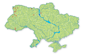 Карта поширення Псевдокаліергон плауноподібний в Україні