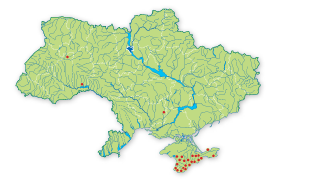 Карта распространения Сквамарина толстая в Украине