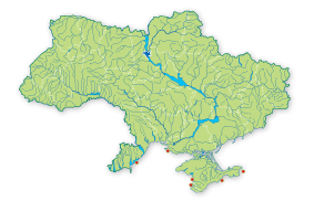 Карта поширення Лаврак європейський в Україні