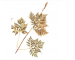 Botrychium virginianum (L.) Sw. (B. anthemoides C.Presl; B. virginicum Willd.; Botrypus virginianus (L.) Holub)