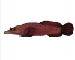Риба-присосок європейська
