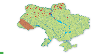 Карта распространения Плаун годичный в Украине