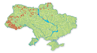 Карта поширення Баранець звичайний в Україні