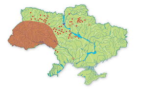 Карта распространения Подснежник белоснежный в Украине