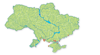 Карта распространения Спаржа Палласа в Украине