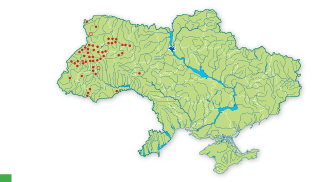 Карта поширення Осока Девелла в Україні