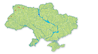 Карта поширення Осока торфова в Україні