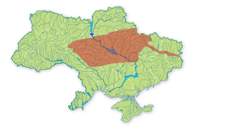 Карта распространения Касатик боровой в Украине