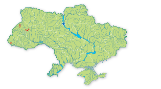 Карта поширення Ситник тупопелюстковий в Україні