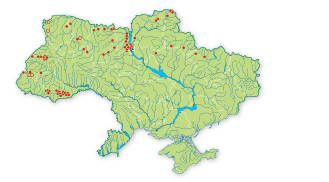 Карта распространения Ятрышник пятнистый в Украине