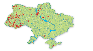 Карта поширення Коручка болотна в Україні