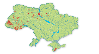 Карта поширення Билинець довгорогий в Україні