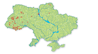 Карта поширення Глевчак однолистий (малаксис однолистий) в Україні