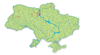 Карта поширення Неотіанта каптурувата в Україні