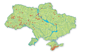 Карта поширення Любка зеленоквіткова в Україні