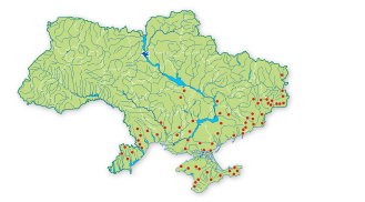 Карта поширення Ковила українська в Україні