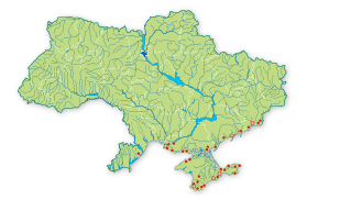 Карта распространения Катран приморский в Украине