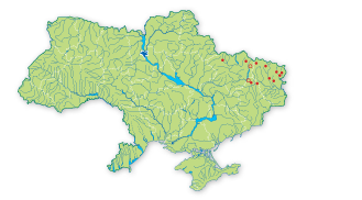 Карта распространения Желтушник украинский в Украине
