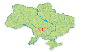 Карта распространения Гвоздика бугская (южнобугская) в Украине
