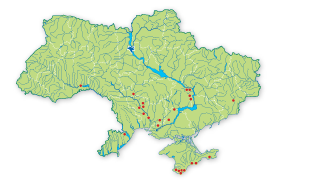 Карта поширення Астрагал понтійський в Україні