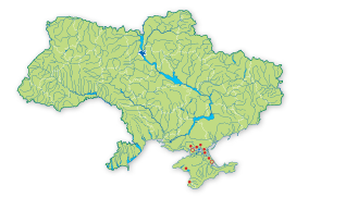 Карта поширення Кермечник червонуватий в Україні