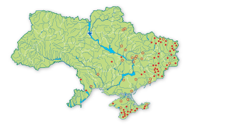 Карта поширення Півонія тонколиста в Україні