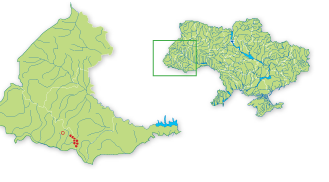 Карта распространения Ива туполистная в Украине