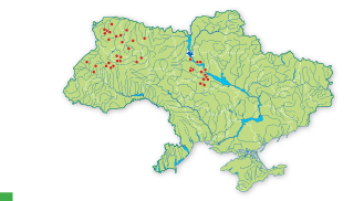 Карта распространения Волчеягодник боровой в Украине