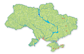 Карта поширення Дазипода (мохнонога бджола) шипоносна в Україні