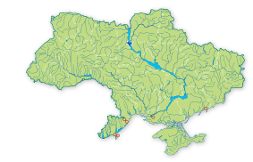 Карта поширення Іфігенела колючконога в Україні