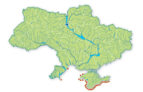 Карта поширення Гребінчастий губань золотистий в Україні