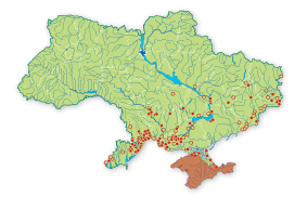 Карта распространения Полоз желтобрюхий (каспийский) в Украине