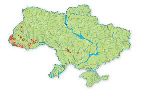 Карта поширення Полоз лісовий, ескулапів в Україні