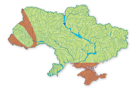 Карта поширення Білозубка велика в Україні