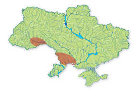 Карта распространения Слепыш белозубый в Украине